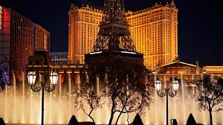 No Fountains of Bellagio shows Tuesday night as wildlife officials respond to rare bird landing [upl. by Atirb]