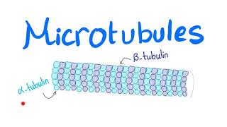 Microtubules [upl. by Nudnarb]