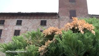 San Damiano Al Colle [upl. by Ecirtac37]