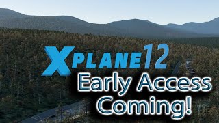 XPlane 12  Early Access  Pricing and More [upl. by Kimberlyn]