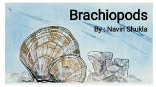 BrachiopodsByNavin ShuklaLasthope [upl. by Ahsimek]