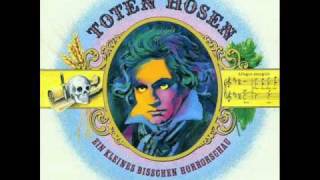 Musterbeispieldie toten Hosen [upl. by Etnaihc]