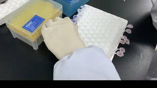 Aspergillus Galactomannan ELISA Detection Kit Operation [upl. by Maryann872]