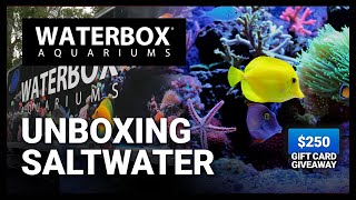 Unboxing the MARINE X 1104 Saltwater Aquariums  Episode 172 [upl. by Aridni1]