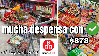 COMPRANDO NUESTRA DESPENSA MENSUAL Ahorrando en la tienda 3B✅ todo esto compramos con 878 😱🤩super [upl. by Einalam]