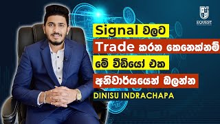 Signal වලට Crypto Trade කරන කෙනෙක්නම් මේ වීඩියෝ එක අනිවාර්යෙන් බලන්න  Dinisu Indrachapa [upl. by Enttirb]