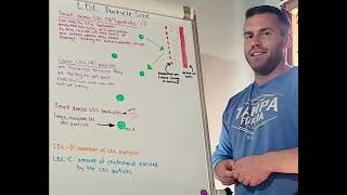 LDL Particle Size [upl. by Jezreel]