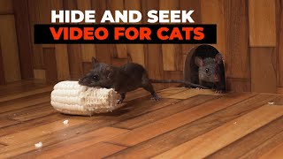 CAT GAMES 😺 Hide and Seek Mice for Cats to Watch with Bird Sounds [upl. by Htabmas]