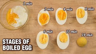 How To Boil an Egg [upl. by Mella]