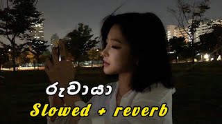 Ru chaya රු චායා  Slowed  reverb [upl. by Akimet]