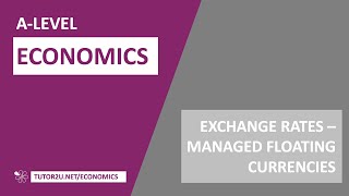 Key Diagrams  Managed Floating Exchange Rates [upl. by Rob206]