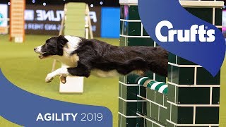 Agility  Championship Final  ​Crufts 2019 [upl. by Aivyls]