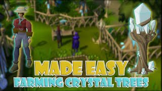 Quick Guide to Farming Crystal Trees in OSRS [upl. by Marianne]