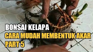 Cara Mudah Membentuk Akar Bonsai Kelapa Part5 [upl. by Einal]