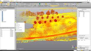 Trimble RealWorks Georeferencing to local coordinates [upl. by Irrot]