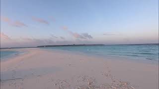 Sandbank Breakfast at Soneva Fushi [upl. by Yelnet677]