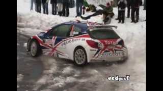 IRC RALLYE MONTE CARLO 2010 by ECDGAS [upl. by Qooraf]