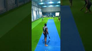 cricket highlights [upl. by Minette713]