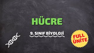 9Sınıf Biyoloji  Hücre  Full Ünite [upl. by Eudoxia]