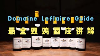 最全双鸡酒庄讲解 Domaine Leflaive Guide [upl. by Yeffej308]