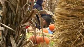 Halloween Scares up Tricks Treats in US [upl. by Krute]