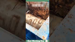 Best working day 1760 Chipper shreds tree roots [upl. by Ardnuaek]