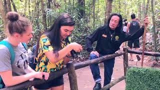 Cu Chi Tunnels Tour with a Vietnam War veteran  Inspitrip [upl. by Nuli]