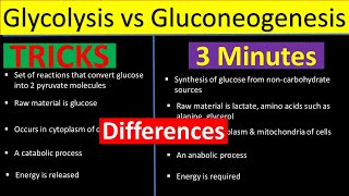 Glycolysis vs Gluconeogenesis  Difference between Glycolysis and Gluconeogenesis Biology Lectures [upl. by Anastas503]