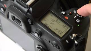 Nikon D7100 continuous shooting buffer test RAW 13x Crop Mode [upl. by Anecuza]