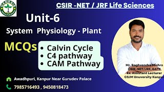 PYQs  Calvin Cycle  C4 pathway  CAM Pathway  Photosynthesis  CSIRNETJRF Life Sciences  L7 [upl. by Obediah]