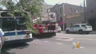 Tree Falls On MTA Bus In Queens [upl. by Spain980]