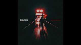 DUUNES  Wild Official Audio [upl. by Shanley349]