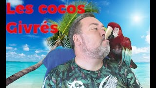 Les cocos givrés [upl. by Anchie]