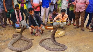 amazing street performers or busker  cobra flute music played by snake charmer [upl. by Ollehto]