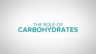 The role of carbohydrates in dairy cow nutrition [upl. by Ahsilra]