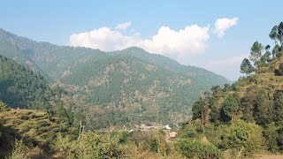 आसूज का महीना गांव में uttarakhand pahadilifestyle pauri latest anjir [upl. by Anelav]