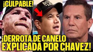 Julio Cesar Chavez EXPLICA los TERRIBLES ERRORES de CANELO que lo HICIERON PERDER frente a BIVOL [upl. by Eichman563]