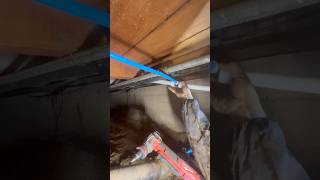 repiping a house with expansion pex [upl. by Leddy]