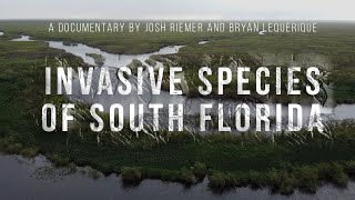 Invasive Species of South Florida  Documentary  AAHSFF 2020 Official Selection [upl. by Felix]