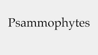 How to Pronounce Psammophytes [upl. by Vada473]