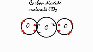 Covalent bonding in a carbon dioxide molecule [upl. by Kozloski]