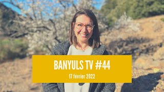 Banyuls TV 44 17 février 2022 [upl. by Ranson]