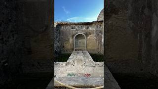 VESUVIUS Herculaneum Ruins Naples Italy SHORT travel italy vesuvius naples volcano amalfi [upl. by Acillegna]