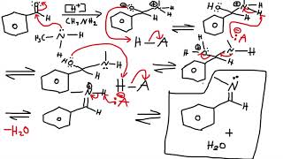 Primary Amine FormationHydrolysis reaction  Imine  CH3NH2  Acidic Condition  Organic Chemistry [upl. by Immat]