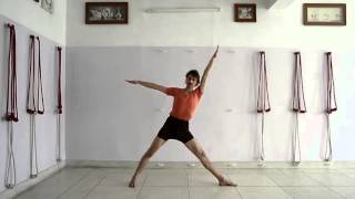 30 minutes practice of Iyengar Yoga for beginners to intermediates [upl. by Ssor]