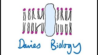 21 Eukaryotic Cell Structure [upl. by Amaso]