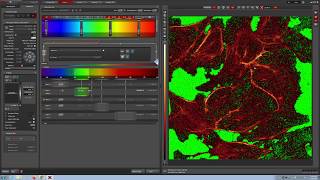 Leica Confocal Video Manual [upl. by Medorra]