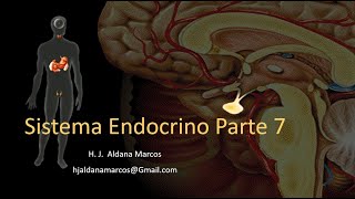 Glándulas endocrinas Parte 7 de 7 Tiroides Paratiroides Pineal Hernán Aldana [upl. by Ekoorb]