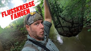 Flusskrebse essen  Catch and Cock  Survival Tipps [upl. by Etteniotnna683]