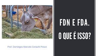 FDN e FDA  o que é isso [upl. by Neila]